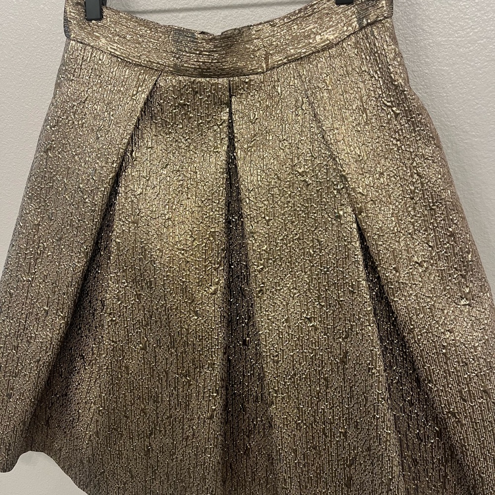 Gold Skirt